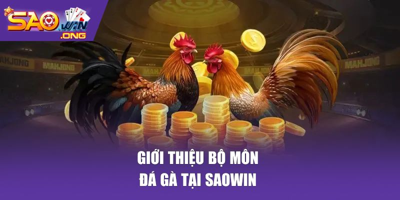 Giới thiệu bộ môn đá gà tại SAOWIN